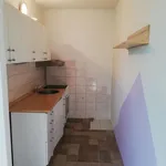 Rent 1 bedroom apartment of 45 m² in Brno