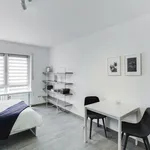 Rent 1 bedroom apartment of 31 m² in Leverkusen