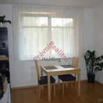 Rent 1 bedroom apartment in Pardubice