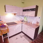 Rent 1 bedroom apartment of 30 m² in Pilsen