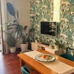 Rent 2 bedroom apartment of 75 m² in Milano