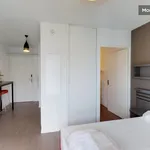 Appartement de 22 m² avec 1 chambre(s) en location à Toulouse