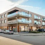 Huur 1 slaapkamer appartement van 56 m² in RUPELMONDE