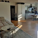 Rent 2 bedroom apartment in Zurich