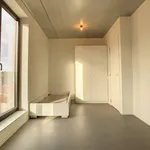 Rent 1 bedroom apartment in Kortrijk