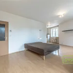 Rent 1 bedroom apartment in Praha - východ