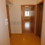 Pronajměte si 1 ložnic/e byt o rozloze 48 m² v Pilsen