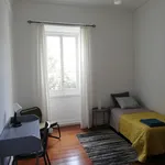 Alugar 5 quarto casa de 235 m² em Ponta Delgada