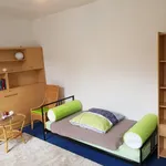 Rent 1 bedroom apartment of 32 m² in Wuppertal