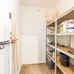 Rent 2 bedroom apartment in Halle