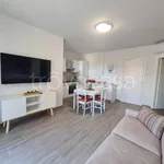 Rent 2 bedroom apartment of 55 m² in Colico