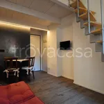 Rent 1 bedroom apartment of 50 m² in Torino