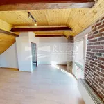 Rent 1 bedroom apartment in Příbram