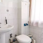 Rent 5 bedroom apartment in Rome