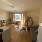 Rent 1 bedroom apartment of 40 m² in Brno