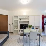 Rent 1 bedroom apartment in milan