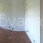 Rent 1 bedroom apartment of 35 m² in Turano Lodigiano