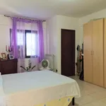 Rent 2 bedroom apartment of 80 m² in borgia