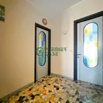 Rent 2 bedroom apartment of 50 m² in Turin