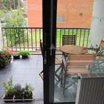 Rent 2 bedroom apartment in Marcinelle