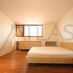 Rent 3 bedroom apartment of 122 m² in Prague