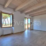 Rent 3 bedroom house of 100 m² in Viterbo