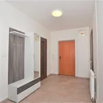 Rent 2 bedroom apartment of 71 m² in Plzeň