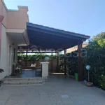 Rent 2 bedroom house of 100 m² in Leporano