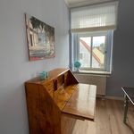 Rent 1 bedroom apartment of 60 m² in Dresden