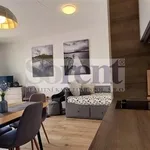 Rent 1 bedroom apartment of 39 m² in Frymburk