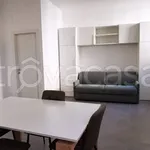 Rent 1 bedroom apartment of 30 m² in Lodi