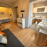 Rent 1 bedroom apartment of 28 m² in Poznań