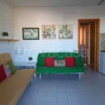 Rent 2 bedroom apartment of 40 m² in Numana