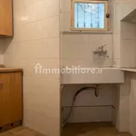 Rent 2 bedroom apartment of 50 m² in Turin