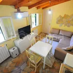 Rent 3 bedroom apartment of 85 m² in Pietrasanta