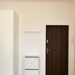 Rent 1 bedroom apartment of 25 m² in Adama Próchnika