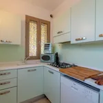 Rent 9 bedroom house of 120 m² in Pietrasanta