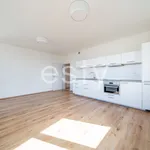 Rent 2 bedroom apartment of 52 m² in Prague