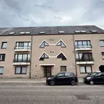 Rent 1 bedroom apartment in Mol