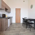 Rent 1 bedroom apartment in Brno