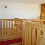 Rent 1 bedroom apartment of 25 m² in Capital City of Prague