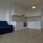 Rent 3 bedroom apartment of 69 m² in Brno