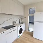 Rent 1 bedroom house in Waitākere Ranges