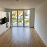 Rent 2 bedroom apartment of 56 m² in Graz