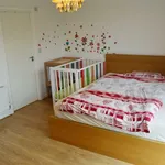 Property to rent in Ruby Tuesday Drive, Dartford DA1