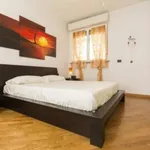 Rent 1 bedroom apartment in Milan