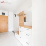 Rent 1 bedroom apartment of 37 m² in Plzeň