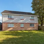 Flat to rent in Allison Gardens, Blackridge, Bathgate EH48