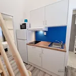 Rent 2 bedroom apartment of 30 m² in Brno