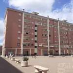 Rent 2 bedroom apartment of 50 m² in Aprilia